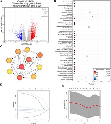 Establishment of a Necroptosis Related Genes Signature to Predict Prognosis and Therapeutic Response in Colon Cancer